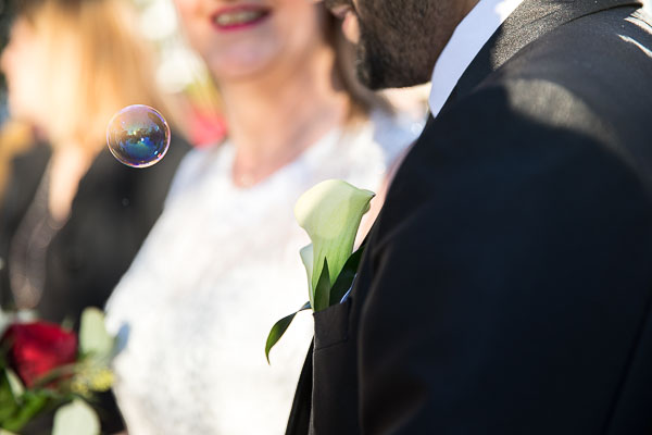 Fleur et bulle