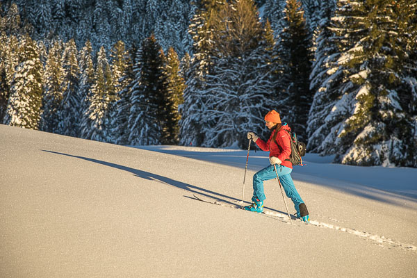 Randonnée à ski à Solalex